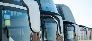 Imagen tarjetas Lineas regulares